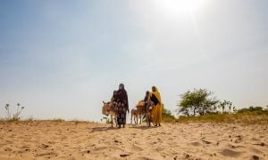 Harta* (60), Hamila* (8), Hdidja* (30) and Fadoul* (7) travel to far distances to find water in Chad. (Photo: Gavin Douglas/Concern Worldwide, names changed for security)