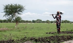 Farmer Nyabol Machar builds an embankment to protect her farmlands from oncoming floods in Unity State, South Sudan. (Photo: Jon Hozier-Byrne/Concern Worldwide)