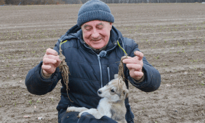 Ivan Zakharenko shows off his young garlic roots