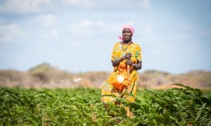 Mumina Mohamed on irrigated plot of maize next to her home in Subo village