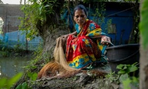 Shochi Ray sorts fish from her today’s catch, releasing the tiny ones back to the pond in Kalinagar, Kamarkhola. Photo: Mumit M/Concern Worldwide