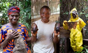 Yaiye Conteh, Jerry Gorr and David Gargar are all foraging for food security Photo: Kieran McConville/Concern Worldwide