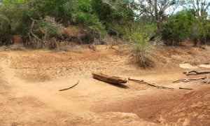 Lazima Community, Tana River, Kenya. October 2025. Photo Charlotte Woellwarth Concern Worldwide.