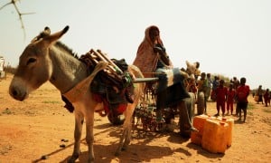 Concern teams are supporting communities in Kenya, Somalia and Ethiopia experiencing a severe drought – driven by climate change – which is causing widespread hardship for millions of people.