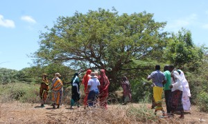 Handaraku Women’s Group walk towards their beehives, Tana River. Photo: Charlotte Woellwarth,Concern Worldwide.