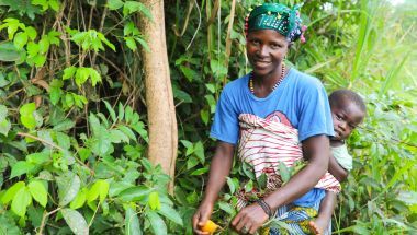 Kadiatu Bangura (35) with son Sheku Conteh (1) picking &#039;Makrun&#039; - orange wild fruits in the local forest. Photo: Jennifer Nolan / Concern Worldwide. 