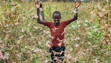 A farmer&#039;s son raises his arms as he is surrounded by desert locusts while trying to chase them away from his crops, in Katitika village, Kitui county, Kenya. Credit: Ben Curtis/AP/Shutterstock