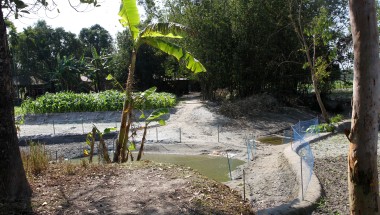 Netted small pond beside banana trees, crop filed, famed vegetation and bamboo thickets beside local houses, Dhubni village, Singimari Union, Hatibanda, Lalmonirhat, 2019.
