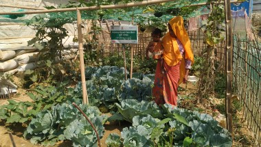 A woman stands in a vegetable garden holding her child