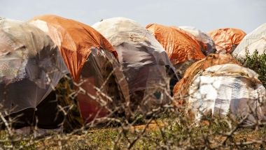 A section of a site for internally displaced people on the edge of Baidoa. Photo: Eamon Timmins/Concern Worldwide