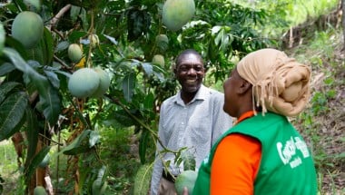 Province Olive, local Casec (community leader) talks to Mimose Jeune of Concern at his mango farm in the Centre department of Haiti. (Photo: Kieran McConville/Concern Worldwide)