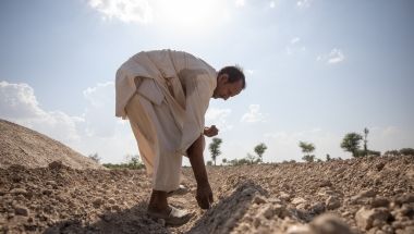 Maula Dinno is a farmer in Sindh. He sows cotton seeds on the farm land. He attended trainings at a farming school facilitated by Concern Worldwide and also received the cotton seeds to help him overcome the losses he faced during the floods in 2022. (Photo: Khaula Jamil/DEC/Concern Worldwide)