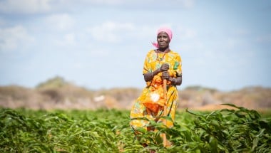 Mumina Mohamed on irrigated plot of maize next to her home in Subo village
