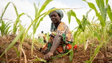 Mwanaesha Haluwa Haji tends to a plot of maize in Makere village in Kenya’s Tana River County. (Photo: Lisa Murray/Kerry Group/Concern Worldwide)