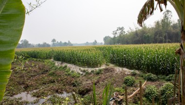 A CRAG reconstructed embankments for flood resilience and built pathways to make movement easier during floods. Photo: Gavin Douglas/Concern Worldwide