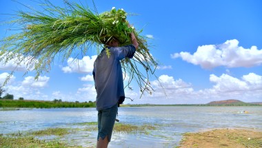 Rouafi pond landscaped by programme participants. Photo: Ali Abdoulaye/Concern Worldwide