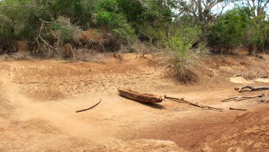 Lazima Community, Tana River, Kenya. October 2025. Photo Charlotte Woellwarth Concern Worldwide.