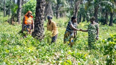 Rugiatu Kamara (second from the right) works on a shared plot with members of her farmers' group in northern Sierra Leone. Photo: Eugene Ikua/Concern Worldwide