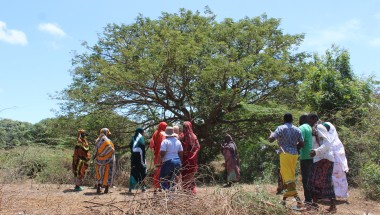 Handaraku Women’s Group walk towards their beehives, Tana River. Photo: Charlotte Woellwarth,Concern Worldwide.