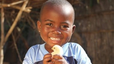 Donnex Jordan holds a baby chick. Jennifer Nolan/Concern Worldwide, Malawi, 2016.