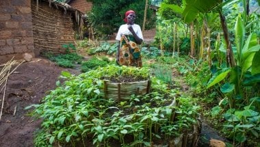 A thriving kitchen garden in Burundi, constructed with support from Concern. Photo: Concern Worldwide.