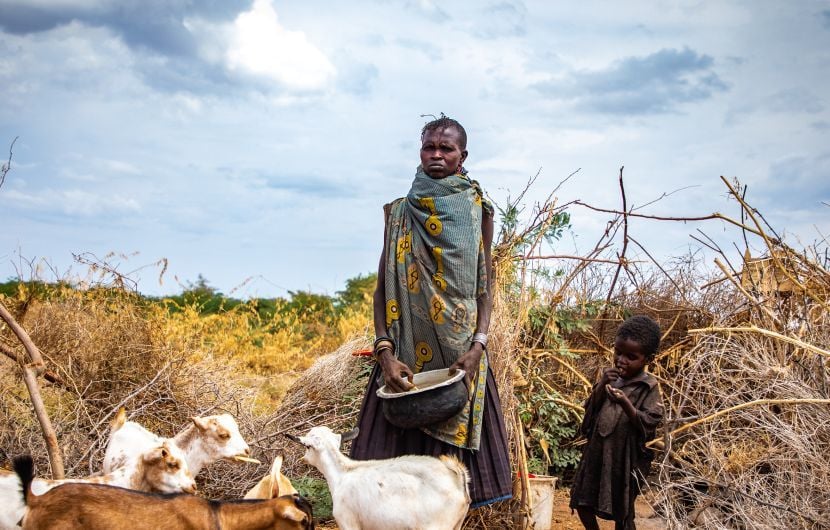 Ng’ikario Ekiru with the last of her goat herd outside their home in Turkana, northern Kenya. She is feeding her family with wild desert fruit and roasted animal hides as the area experiences the second drought in three years.
