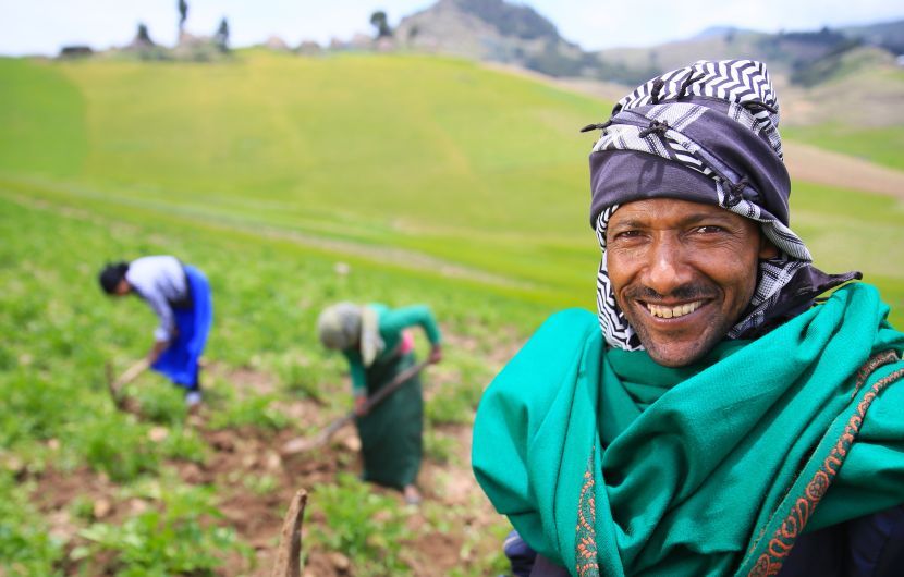 Ethiopian farmer with his daughters working their potato crops in the highlands of South Wollo