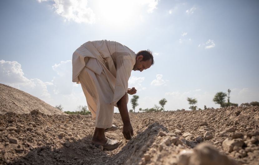 Maula Dinno is a farmer in Sindh. He sows cotton seeds on the farm land. He attended trainings at a farming school facilitated by Concern Worldwide and also received the cotton seeds to help him overcome the losses he faced during the floods in 2022. (Photo: Khaula Jamil/DEC/Concern Worldwide)