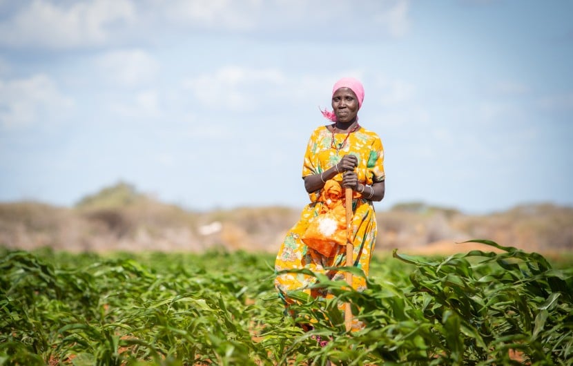 Mumina Mohamed on irrigated plot of maize next to her home in Subo village