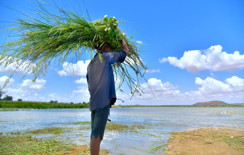Rouafi pond landscaped by programme participants. Photo: Ali Abdoulaye/Concern Worldwide