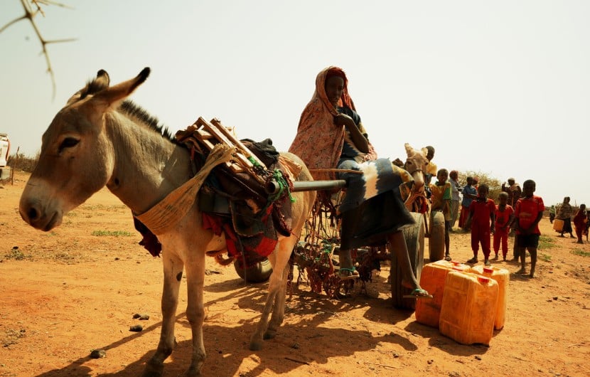 Concern teams are supporting communities in Kenya, Somalia and Ethiopia experiencing a severe drought – driven by climate change – which is causing widespread hardship for millions of people.