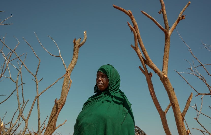 Hafsa Mohamud lives in Borama with her husband and nine children. The area where they live is devoid of clean water, with the nearest source five hours away.