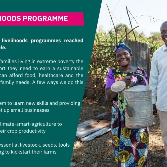Livelihoods programme