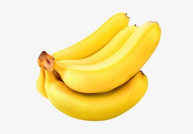 Banana Plants