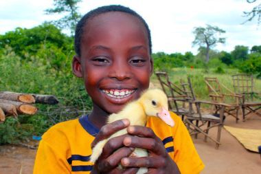 Nhkonde, 8, shows off one of his newly hatched ducklings, in Malawi. Photo: Jason Kennedy / Concern Worldwide