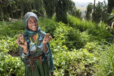 Merema can grow Irish Potatoes in Ethiopia, thanks to Concern. Photo: Kieran McConville / Concern Worldwide