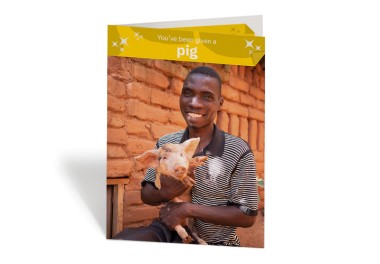 Pig