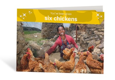 Six Chickens