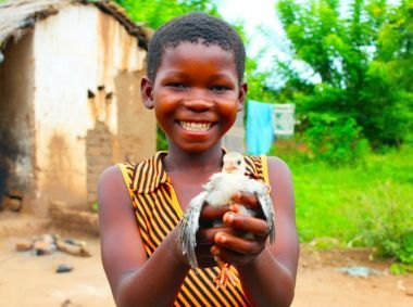 Martha, 13, with one of her family’s precious chicks in Mlolo, Malawi. Photo: Jason Kennedy / Concern Worldwide.