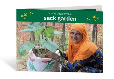 Sack Garden