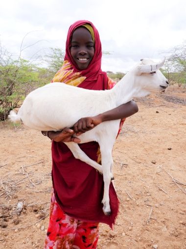 A girl holding a goat