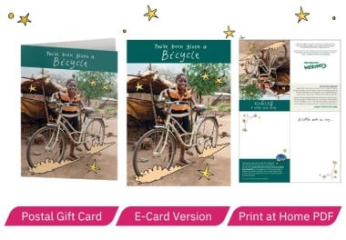Bicycle what you get