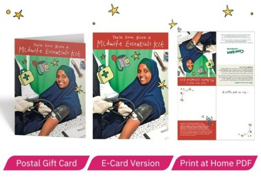Midwife essentials kit what you get