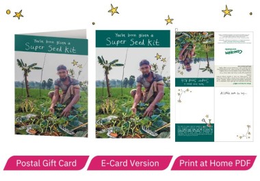 Super Seed Kit what you get