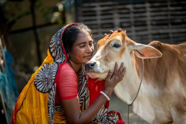 Nila Ray (32) with her favourite calf 