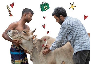 Animal check up main