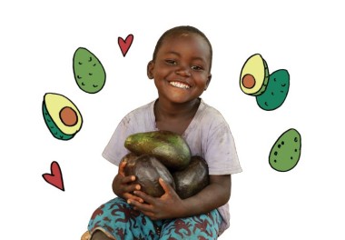 Avocado lead image
