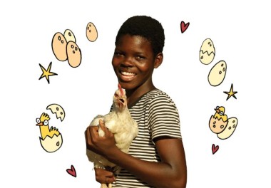 Six Chickens main
