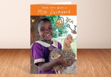 Mini Farmyard what you get