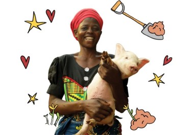 Pig lead image for Gifts website